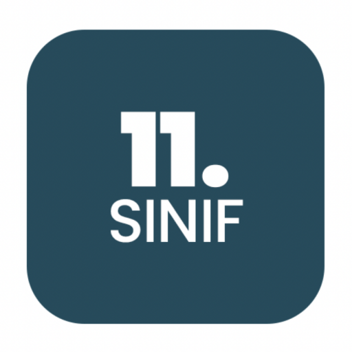 11. SINIF